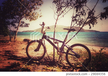 Bicycle on the beautiful beach Bicycle on the beautiful beach 29084356