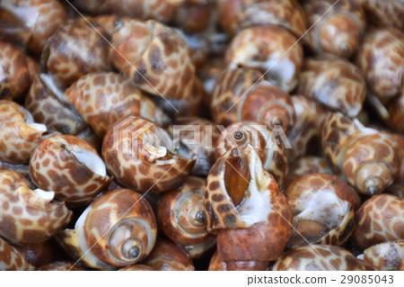 高雄市,台南市,興達港,觀光,景點,市集,攤販,港口,傳統小吃,小吃,海鮮,生鮮,各式各樣,傳統美食 高雄市,台南市,興達港,觀光,景點,市集,攤販,港口,傳統小吃,小吃,海鮮,生鮮,各式各樣,傳統美食 29085043