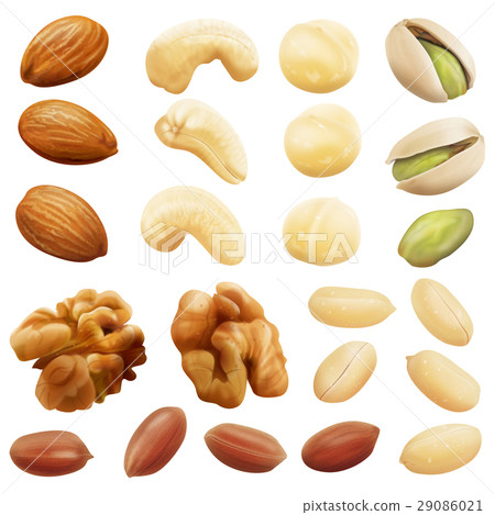 堅果 堅果 29086021