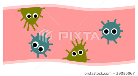 腸道細菌 腸道細菌 29086067