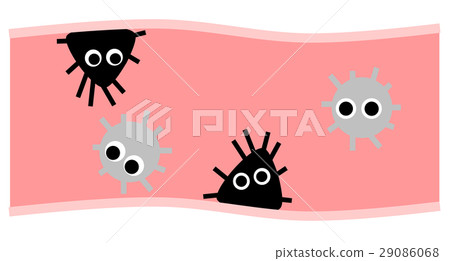 腸道細菌 腸道細菌 29086068