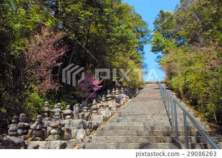 Stone Temple Stone Temple 29086263