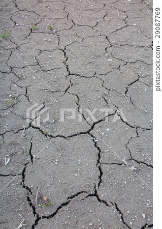 Crack of the ground Crack of the ground 29087769