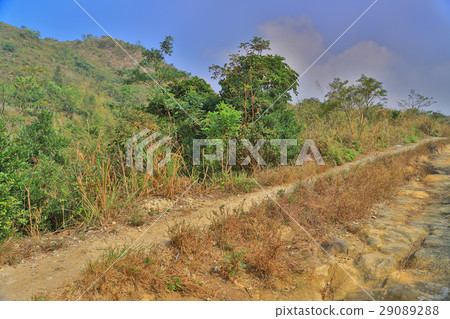 Pineapple Mountain  Tuen Mun, HK 29089288