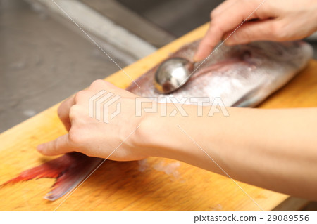準備鯛魚蛋糕 29089556