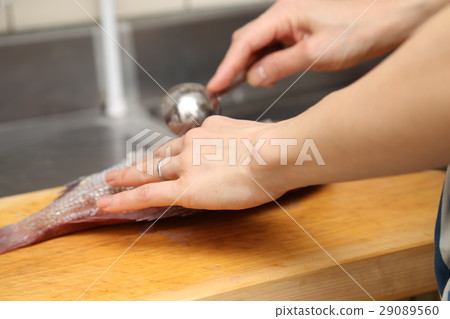 準備鯛魚蛋糕 29089560