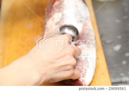 準備鯛魚蛋糕 準備鯛魚蛋糕 29089561