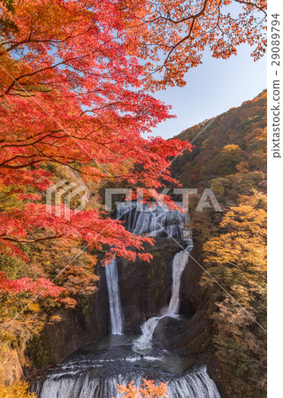 Fukurodon瀑布秋葉 29089794