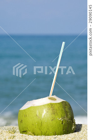Green coconut on a tropical beach 29090145