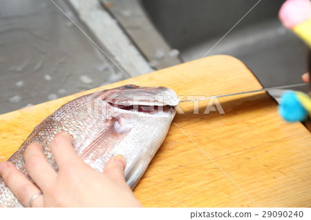 準備鯛魚蛋糕 29090240