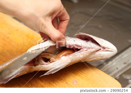 準備鯛魚蛋糕 29090254