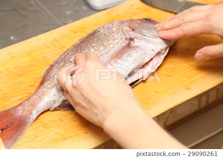 準備鯛魚蛋糕 準備鯛魚蛋糕 29090261