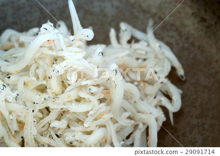 Shiugake炸蝦 Shiugake炸蝦 29091714