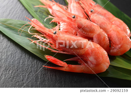 Shrimp Shrimp 29092159