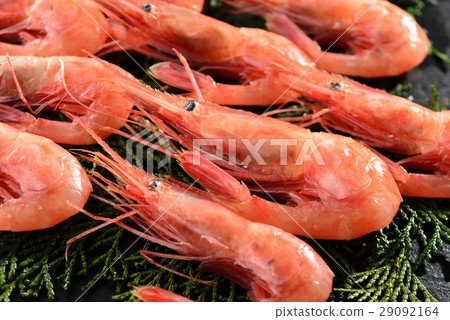 Shrimp 29092164