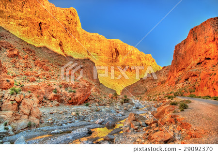 Todgha Gorge, a canyon in the Atlas Mountains 29092370