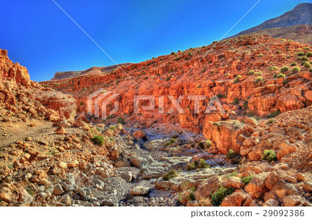 Todgha Gorge, a canyon in the Atlas Mountains 29092386