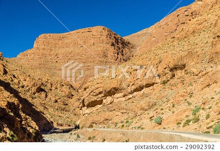 Todgha Gorge, a canyon in the Atlas Mountains 29092392