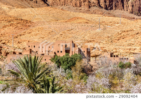 Oasis of the Todra River at Tinghir, Morocco 29092404