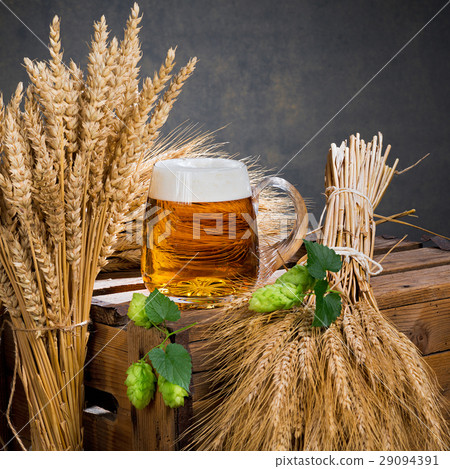glass of beer and raw material for beer production glass of beer and raw material for beer production 29094391