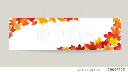 Fall leaf nature banner Autumn leaves background Fall leaf nature banner Autumn leaves background 29097325