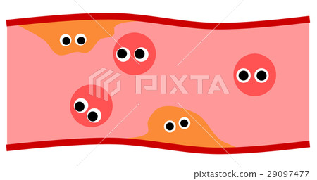 Blood vessel - Stock Illustration [29097477] - PIXTA