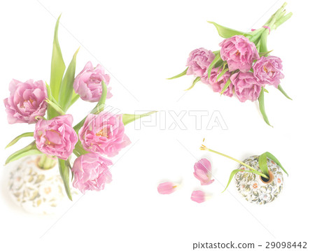 Spring collage with pink tulips Spring collage with pink tulips 29098442