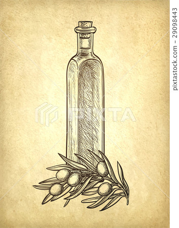 Bottle of olive oil and olive branch. 29098443