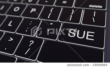 Black computer keyboard and glowing sue key 29099864
