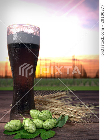 dark beer with hop-garden on background. 3D render dark beer with hop-garden on background. 3D render 29100877