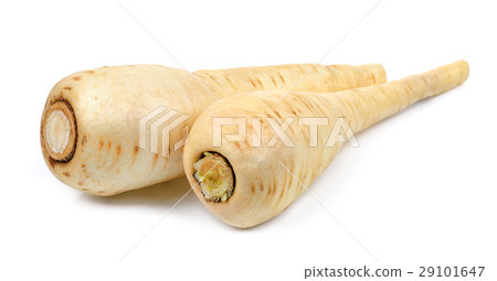 Parsnip isolated on the white background Parsnip isolated on the white background 29101647