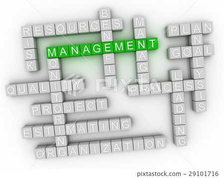 3d image Management word cloud concept 29101716