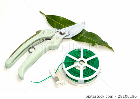 Garden soft tie and pruning shears,garden tools Garden soft tie and pruning shears,garden tools 29106180