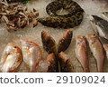 Taiwan Dynasty Market, Fish Sales 29109024