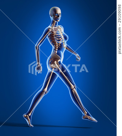 Walking woman with bone skeleton. Walking woman with bone skeleton. 29109098