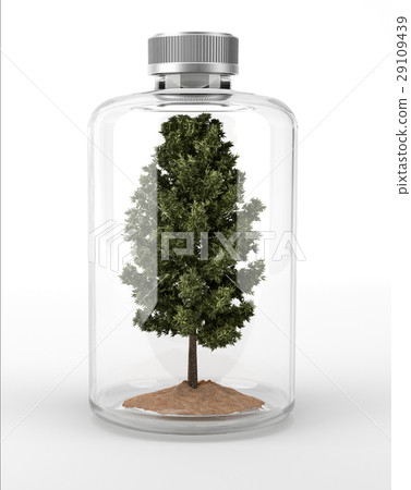 Tree inside a glass bottle. Tree inside a glass bottle. 29109439