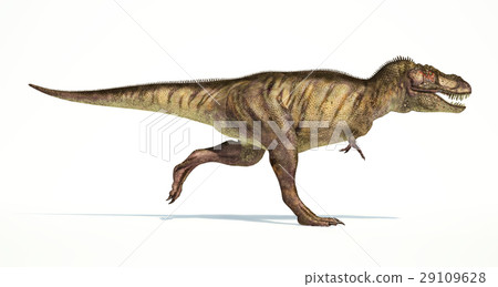 Tyrannosaurus Rex dinosaur, photorealistic representation. Side view. 29109628