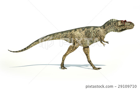 Albertosaurus Dinosaur, photorealistic representation, side view. 29109710