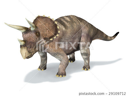 Photorealistic 3 D rendering of a Triceratops. 29109712