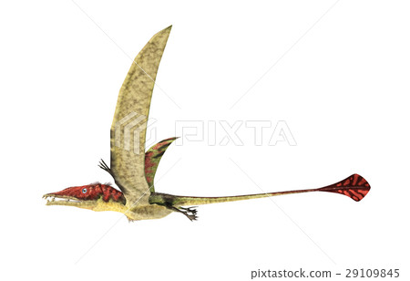 Eudimorphodon flying prehistoric reptile, photorealistic representation. Side view. 29109845