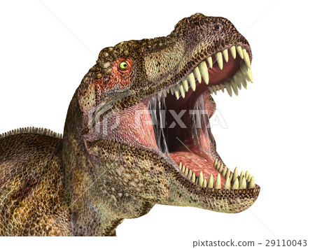Tyrannosaurus Rex dinosaur, photorealistic representation. Head close up. 29110043