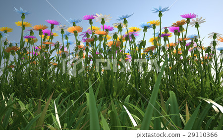 Flowers of different colors, in a grass field. Flowers of different colors, in a grass field. 29110366