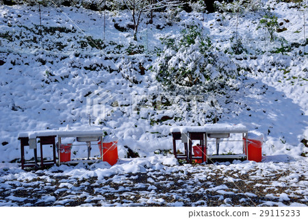 雪景,雪地,雪,寒冷 29115233