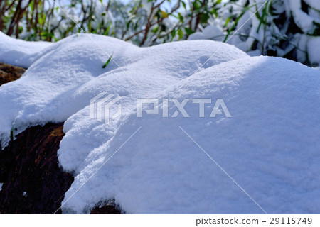 雪景,雪地,雪,寒冷 雪景,雪地,雪,寒冷 29115749