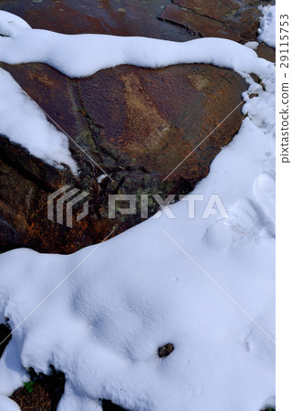 雪景,雪地,雪,寒冷 29115753