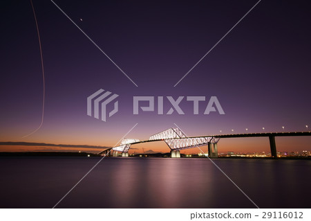 東京大橋 29116012