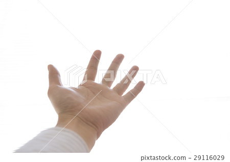 In the light 29116029