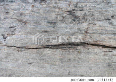 texture of bark wood use as natural background texture of bark wood use as natural background 29117518