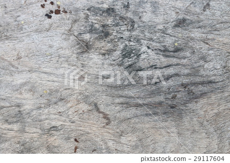 texture of bark wood use as natural background texture of bark wood use as natural background 29117604