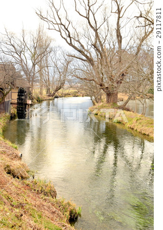 Azumino landscape of spring and river of water spring 29117811